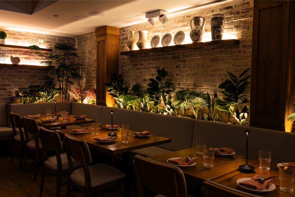 Dining room with greenery and soft lighting